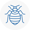 Bed Bug Extermination In Stockport